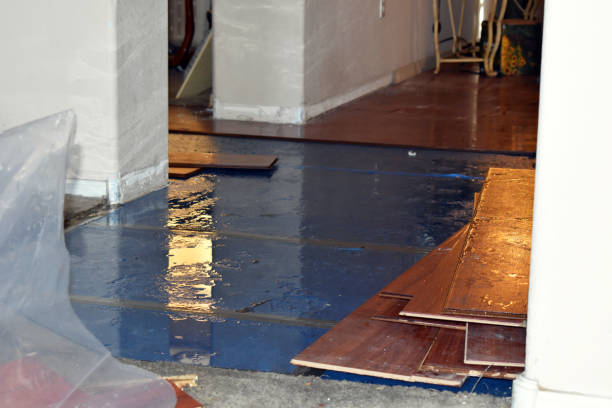 Professional Water Damage Restoration technician working in Grandville, MI